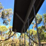 Three Capes Track, Tasmania