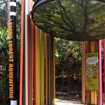 Lemur Forest Adventure – Taronga Zoo