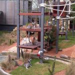 Lemur Forest Adventure – Taronga Zoo