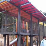 Lemur Forest Adventure – Taronga Zoo